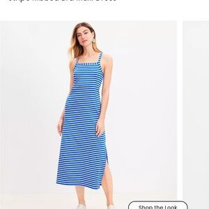 Ann Taylor Loft Blue Striped Maxi Dress